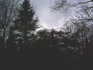 missing treetop.jpg